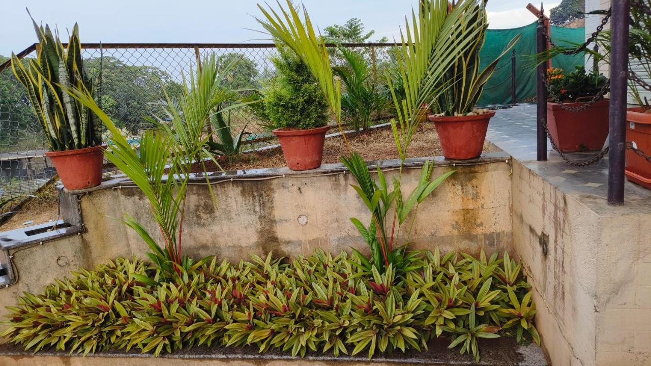 M Cube Service * Sakleshpur
